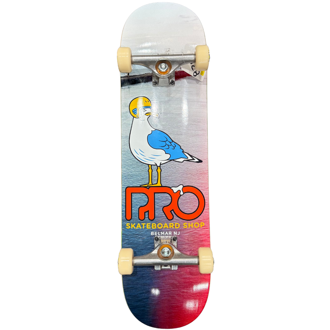 8.25" Pro Skateboard Shop Belmar Seagull Complete Skateboard