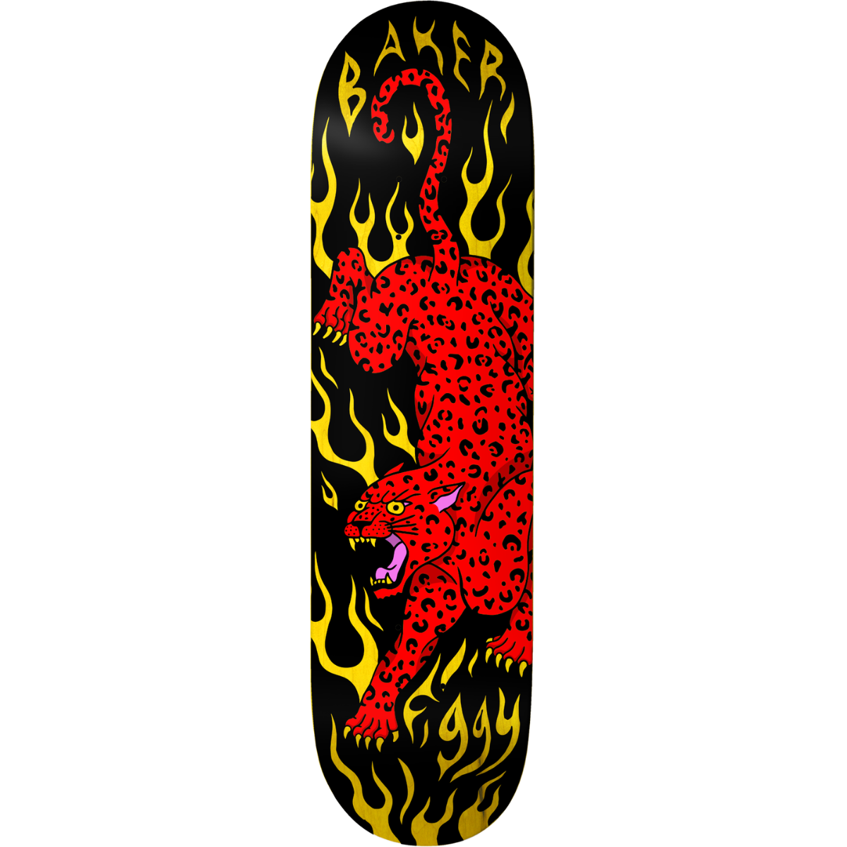 8.5" Baker Figgy Fortune's Fool Skateboard Deck