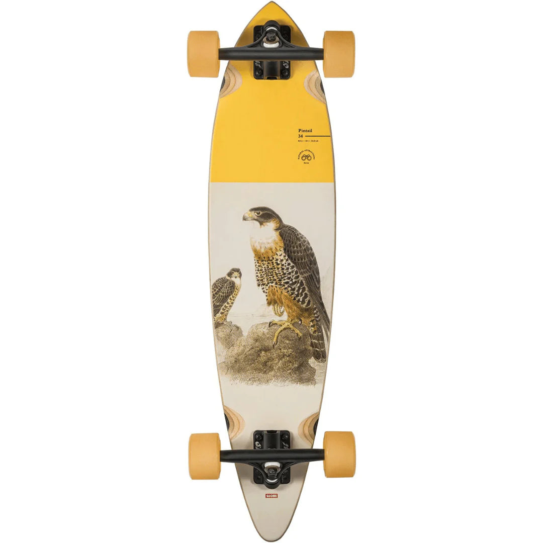 *BLEMISHED* 34" Globe Brand Natural Attraction Falcon Pintail Longboard Complete (1)