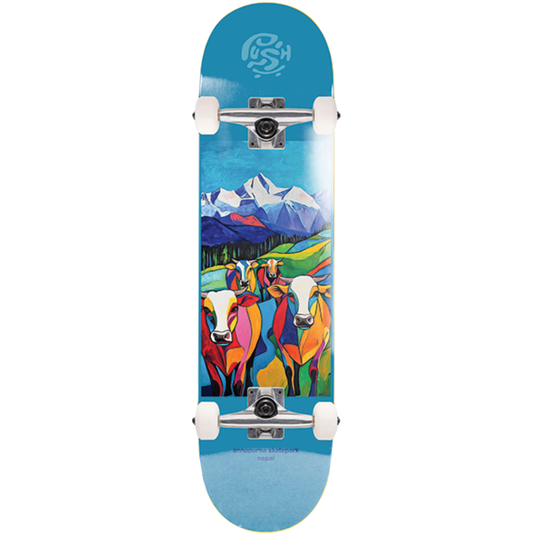 7.75" Push Skateboarding Nepal Complete Skateboard - Light Blue