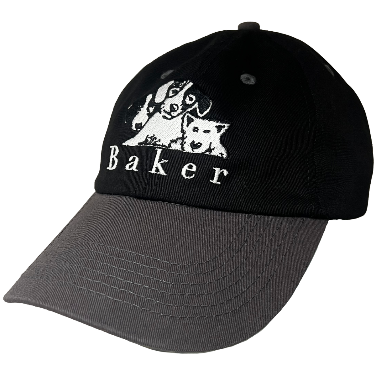 Baker Skateboards Where My Dogs At? Snapback Hat